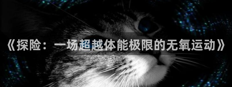 oety欧亿