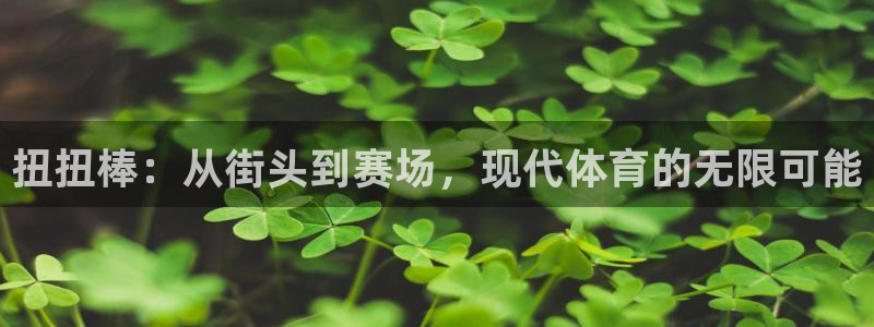 oety欧亿：扭扭棒：从街头到赛场，现代体育的无限可能