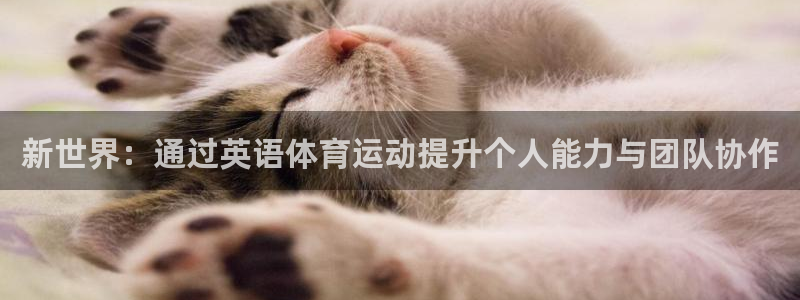 oety欧亿