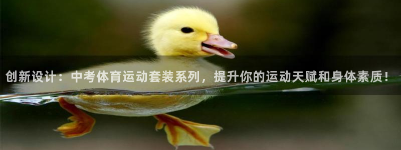 oety欧亿