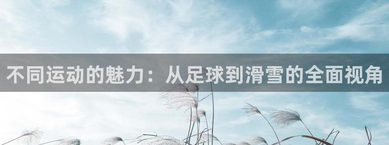 oety欧亿