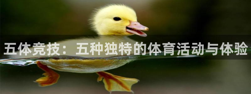 oety欧亿：五体竞技：五种独特的体育活动与体验