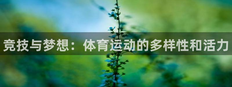 oety欧亿：竞技与梦想：体育运动的多样性和活力