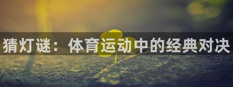 oety欧亿