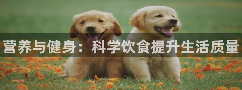 oety欧亿