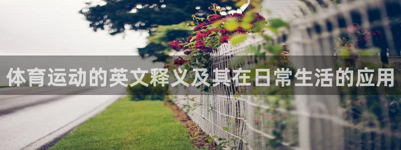 oety欧亿：体育运动的英文释义及其在日常生活的应用