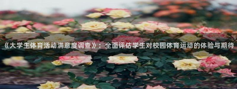 oety欧亿：《大学生体育活动满意度调查》：全面评估学生对校园体育运动的体验与期待
