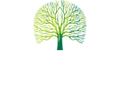 奇趣腾讯分分